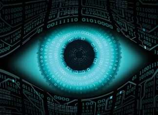 De bedste antivirus programmer til Windows 11 Antivirus saftware