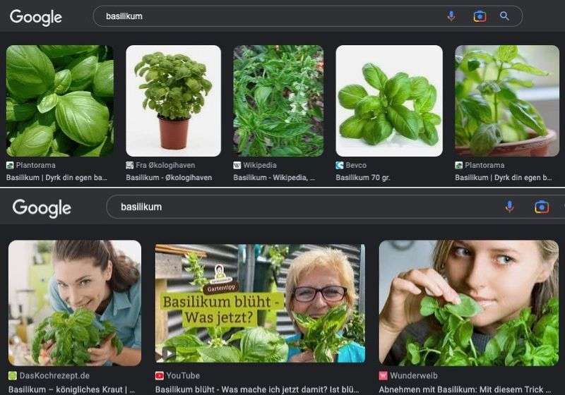 6 fascinerende søgemaskiner, der søger efter ansigter 2