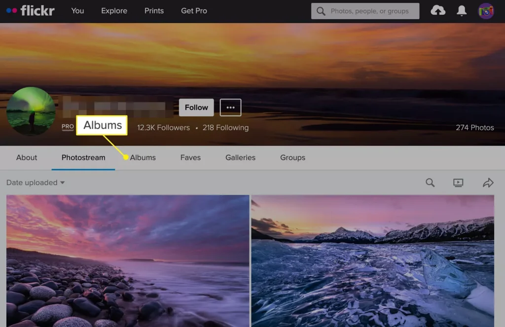 Sådan downloader du hvad som helst på nettet helt gratis: 12 tips og værktøjer 20 Fotoalbum fra Flickr