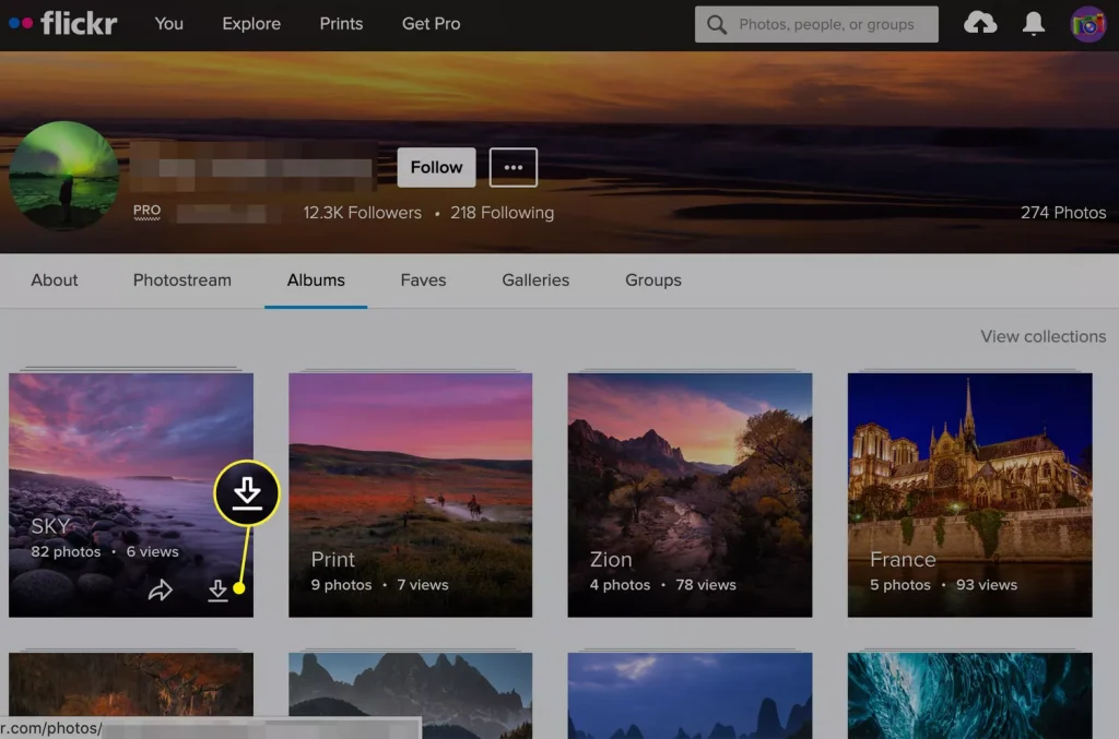 Sådan downloader du hvad som helst på nettet helt gratis: 12 tips og værktøjer 21 Fotoalbum fra Flickr