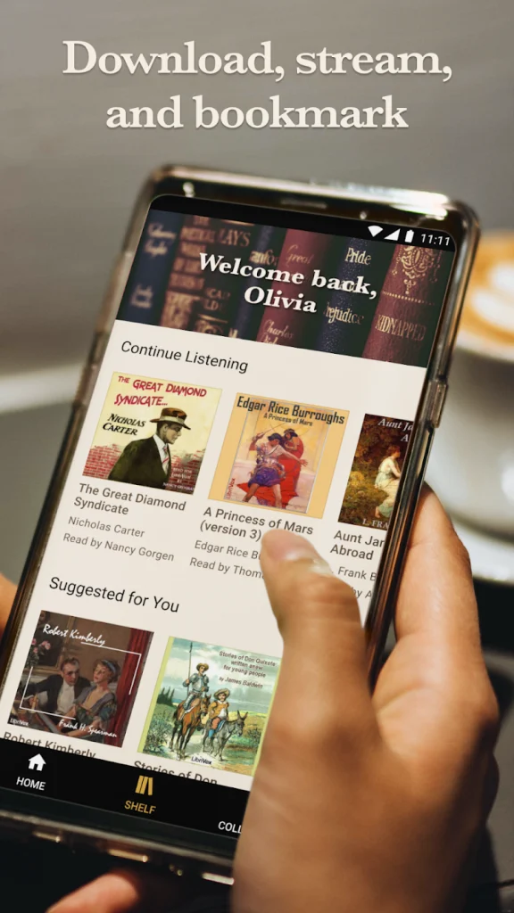 Sådan downloader du hvad som helst på nettet helt gratis: 12 tips og værktøjer 10 LibriVox