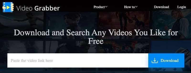 Sådan downloader du enhver video fra internettet: 18 gratis metoder 12 Video Grabber screenshot