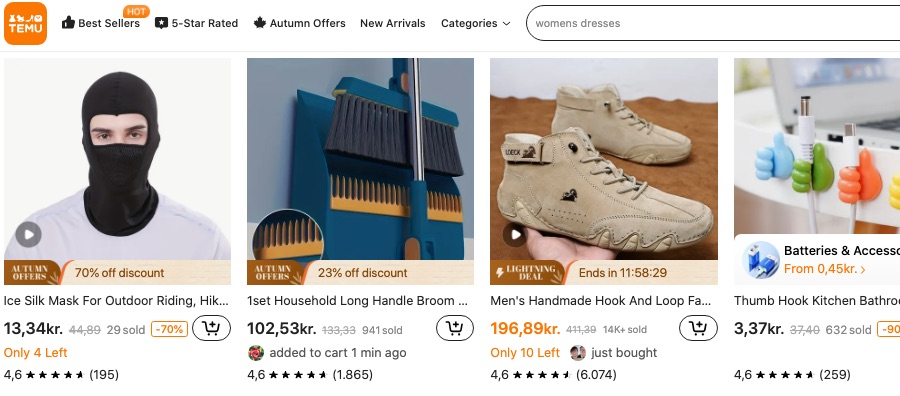 6 Temu-fiduser, du bør være opmærksom på 1 Screenshot af temu-hjemmesidens startside