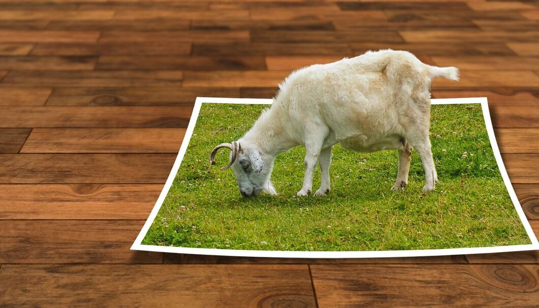 ai-fotoredigeringsprogrammer Collage: En ged græsser på et stykke lysning, der ligger på et parketgulv.
