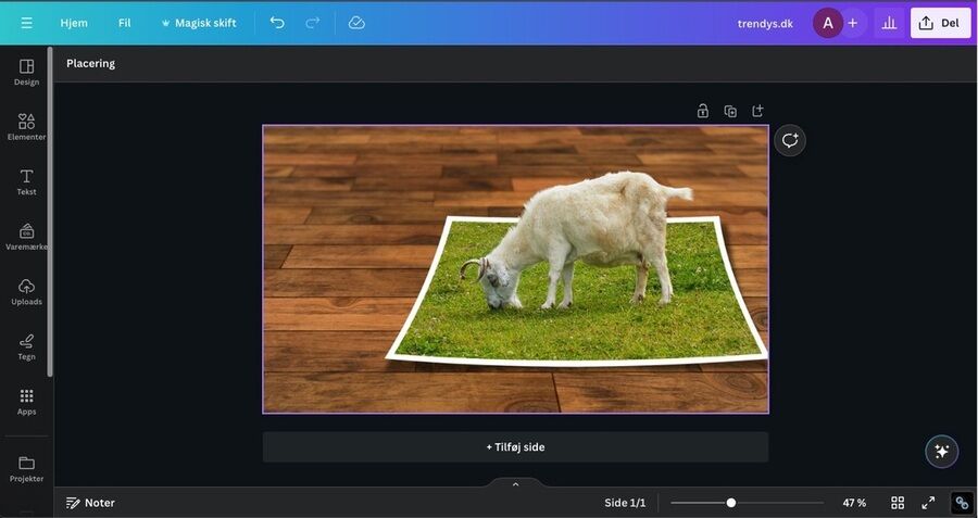 De 8 bedste gratis online AI-fotoredigeringsprogrammer 2 Canva brugerflade.