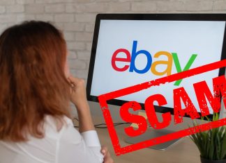 Pigen ved computerskærmen med ebay-logoet og det røde scam stempel i højre side.