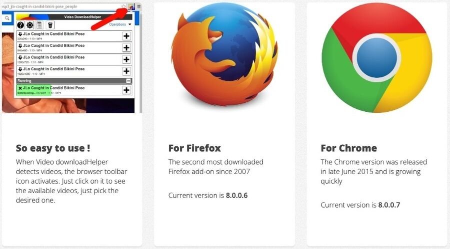 Skærmbillede af downloadhelper hjemmeside