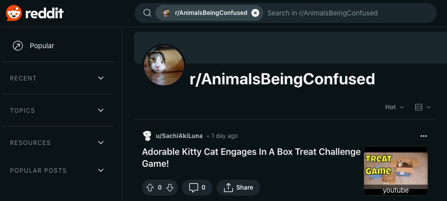 Et skærmbillede af r/AnimalsBeingConfused webpage