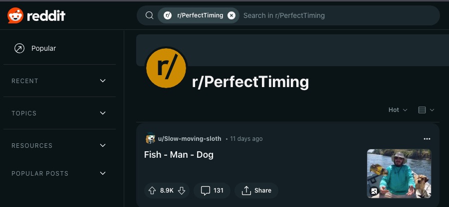 Et skærmbillede af r/PerfectTiming webpage