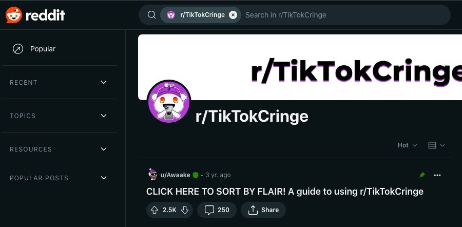 Et skærmbillede af r/TikTokCringe webpage
