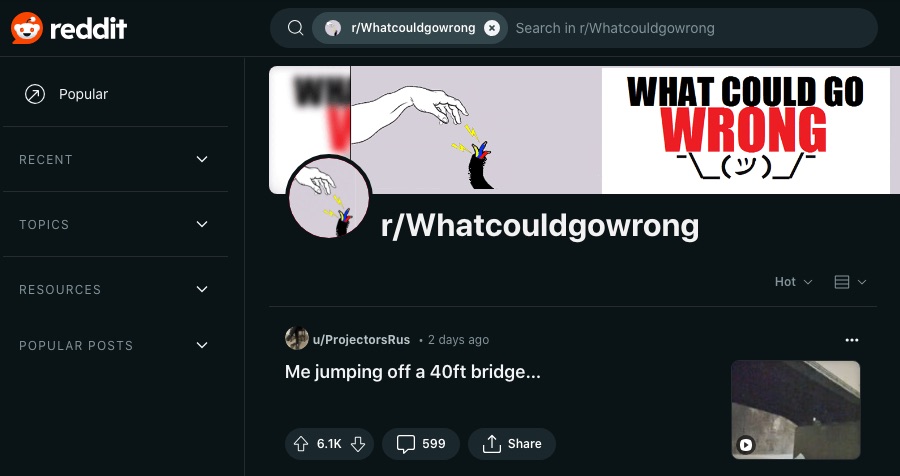 Et skærmbillede af r/Whatcouldgowrong webpage