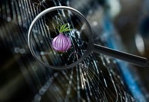 Et detaljeret edderkoppespind med lysreflektioner og et forstørrelsesglas, der fokuserer på et lilla løg. Billedet blander naturens elementer med et digitalt symbol og kan repræsentere Tor-netværket.