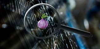 Et detaljeret edderkoppespind med lysreflektioner og et forstørrelsesglas, der fokuserer på et lilla løg. Billedet blander naturens elementer med et digitalt symbol og kan repræsentere Tor-netværket.